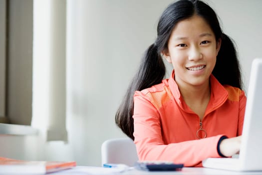 Portrait of a girl using a laptop