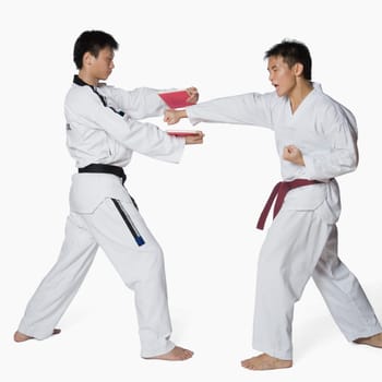 Male karate instructor teaching martial arts to a young man