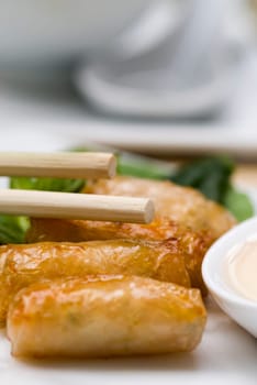 Close-up of spring rolls