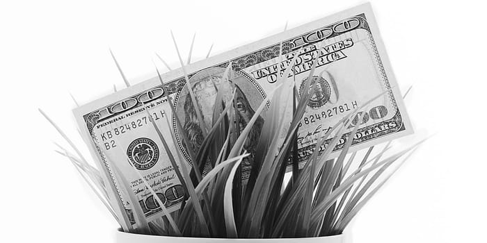 Cash out a hundred American bills in the grass isolated on a white background.