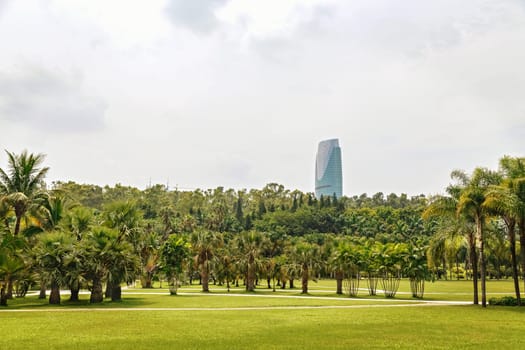 Picturesque tropical park in the center of the metropolis, China, Shenzhen, 22.08.2019