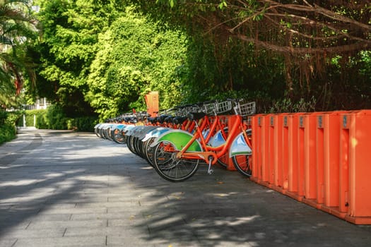 Bicycles stand in a row on a parking for rent, China, Shenzhen, 21.08.2019