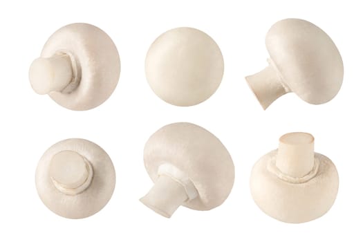 Collection of vegetables. Different shapes of champignon mushrooms isolated on white background with clipping path as package design element. Full depth of field. Healthy food concept.