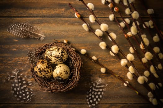 Quail eggs with pussy willow branches on rustic wooden background