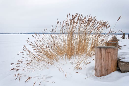 Winter on Fischland-Darß, frozen and snow-covered Saaler Bodden