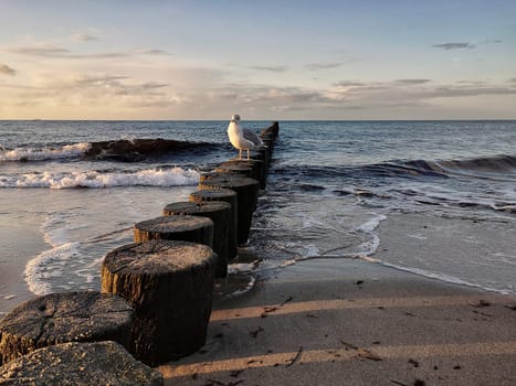 Mecklenburg Baltic Sea coast, Kühlungsborn