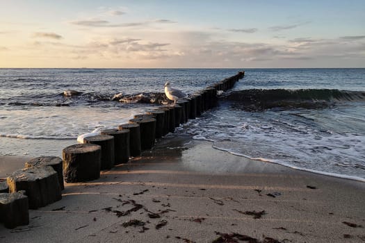 Mecklenburg Baltic Sea coast, Kühlungsborn