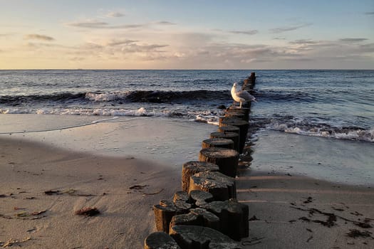 Mecklenburg Baltic Sea coast, Kühlungsborn