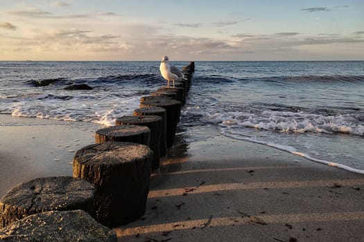 Mecklenburg Baltic Sea coast, Kühlungsborn