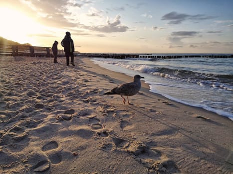 Mecklenburg Baltic Sea coast, Kühlungsborn