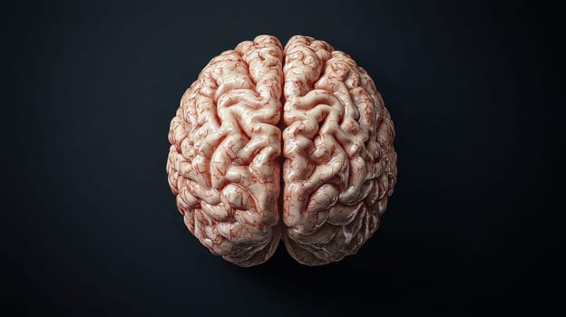 A human brain is shown on a black background..