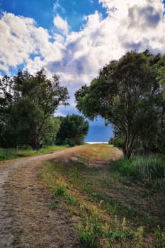 landscape near Groß Zicker, Ruegen Island, Germany