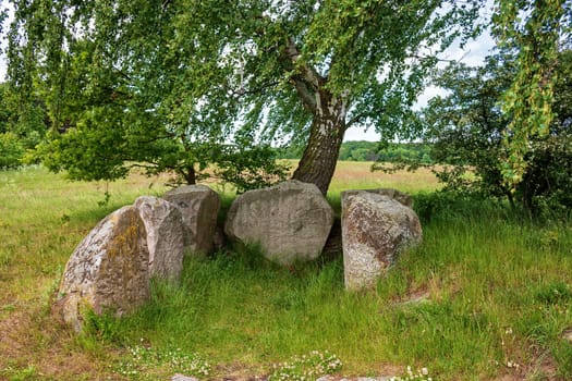 big stone tomb under birch, island of Ruegen