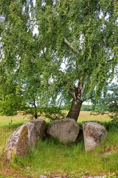 big stone tomb under birch, island of Ruegen