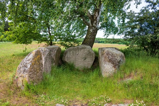 big stone tomb under birch, island of Ruegen