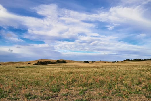 Mönchguter Boddenlandschaft bei Groß Zicker, Insel Rügen am Greifswalder Bodden