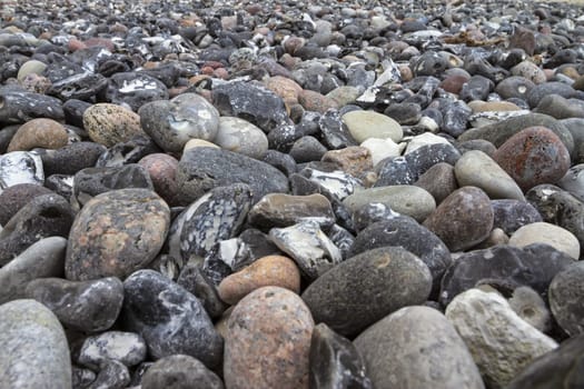 Chalk coast in the Jasmund National Park, Ruegen island
