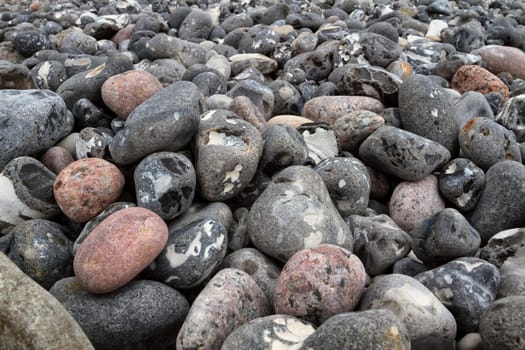 Chalk coast in the Jasmund National Park, Ruegen island