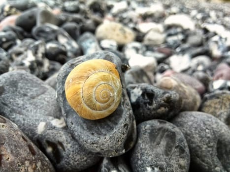 Chalk coast in the Jasmund National Park, Ruegen island