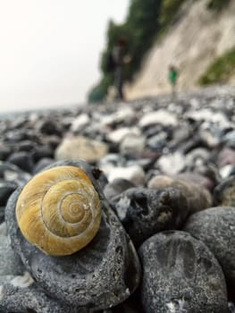 Chalk coast in the Jasmund National Park, Ruegen island
