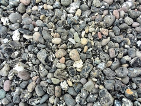 Chalk coast in the Jasmund National Park, Ruegen island