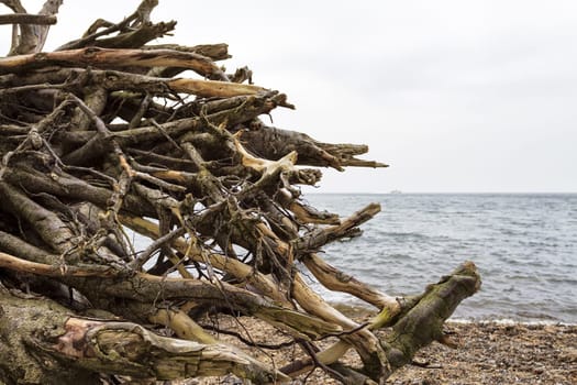 Chalk coast in the Jasmund National Park, Ruegen island