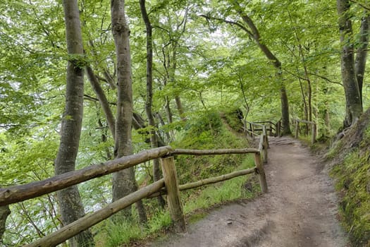 Chalk coast in the Jasmund National Park, Ruegen island