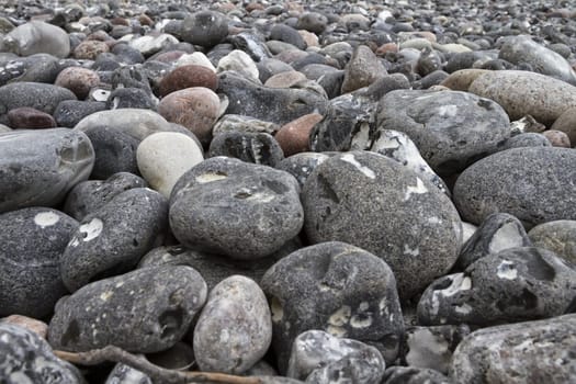 Chalk coast in the Jasmund National Park, Ruegen island