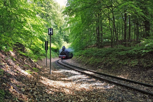 Rügen small train "Rasender Roland"", island of Rügen"