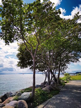 Sassnitz, Mecklenburg Baltic Sea Coast, Ruegen Island