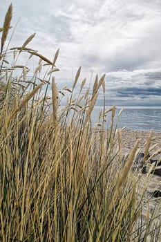 Greifswalder Bodden near Thiessow, Mönchgut, Ruegen island