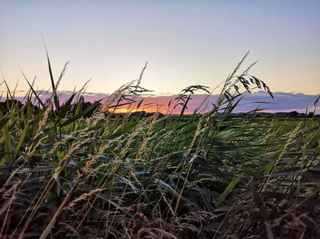Sonnenuntergang überm Mönchgut, Insel Rügen