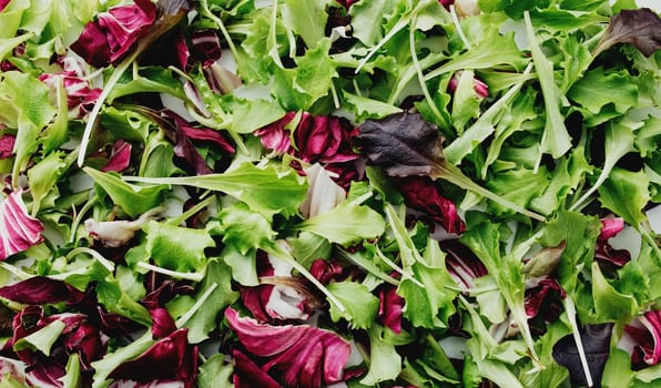 Green and purple salad leafs mix background. High quality photo