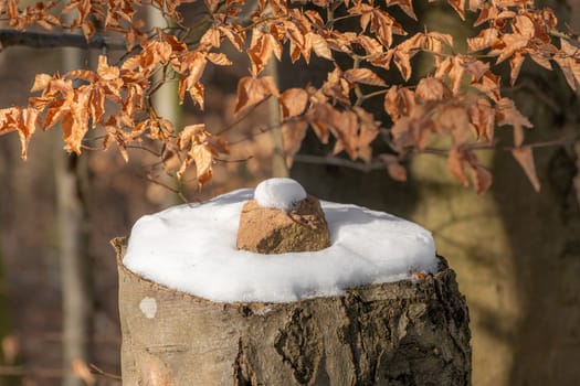 Signpost of sandstones placed on the forest floor with snow against a blurred background