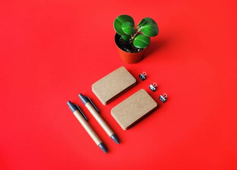 Blank kraft stationery set on red paper background. Business cards, pens and plant. Template for branding identity.