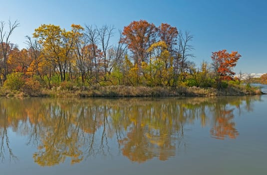 Forest Reflections in the Autumn Light on Busse Lake in the Ned Brown Preserve in Illinois