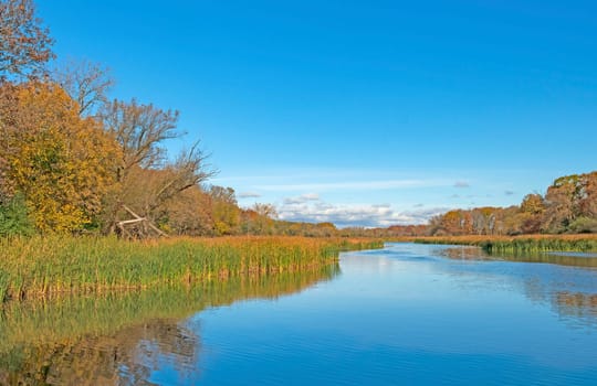Calm Waters and Skies in the Fall on Salt Creek in the Ned Brown Preserve in Illinois