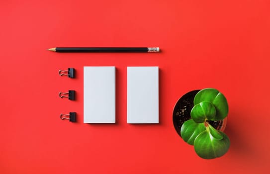 Branding mock up. White paper business cards, pencil and plant. Top view. Flat lay.