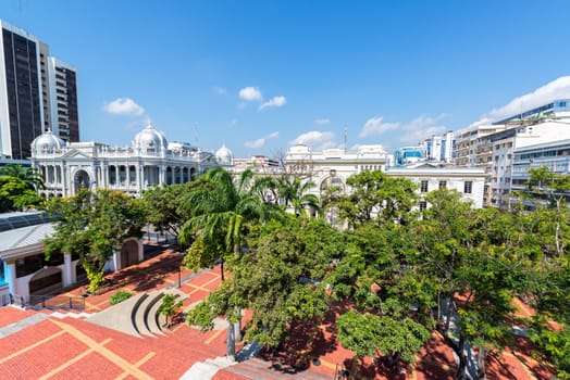 Tree filled plaza in downtown Guayaquil, Ecuador