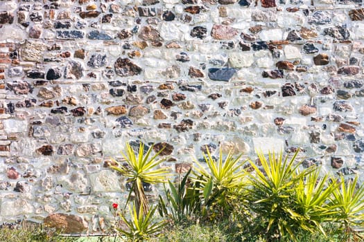 Stone wall with plants. particular of a stone house.