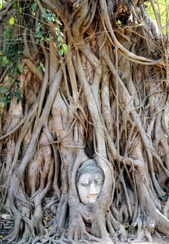 Buddhist temples in the jungle in Thailand