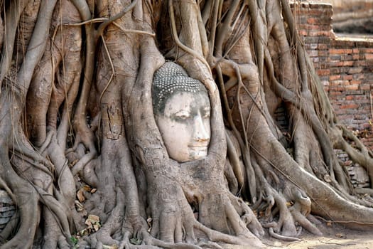 Buddhist temples in the jungle in Thailand