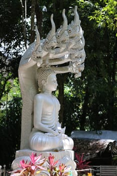 Buddhist temples in the jungle in Thailand