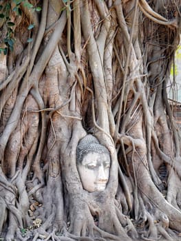 Buddhist temples in the jungle in Thailand