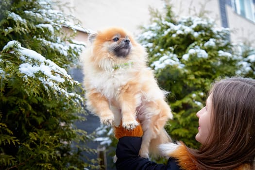 A woman lovingly holds her fluffy Pomeranian dog amid snow-covered trees, enjoying a winter day outdoors.