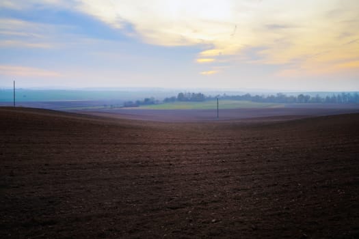 Agricultural rural landscape. Arable land. Evening in the countryside.