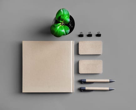 Kraft stationery mock up. Blank corporate identity set. Booklet, business cards, pens and plant. Template for branding identity. Flat lay.