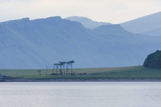 Dramatic scottish coastal cliffs, part of a telephoto landscape behind an unusual bunch of trees on the isle of raasay. Blue and green color tone.