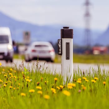 Reflector post and cars at an idyllic asphalted road in summer, flowers and green grass