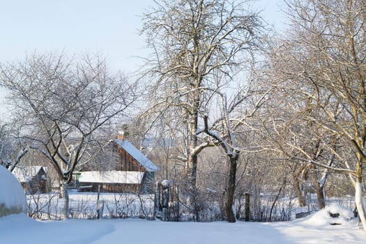 Belarussian old village house in the snow
